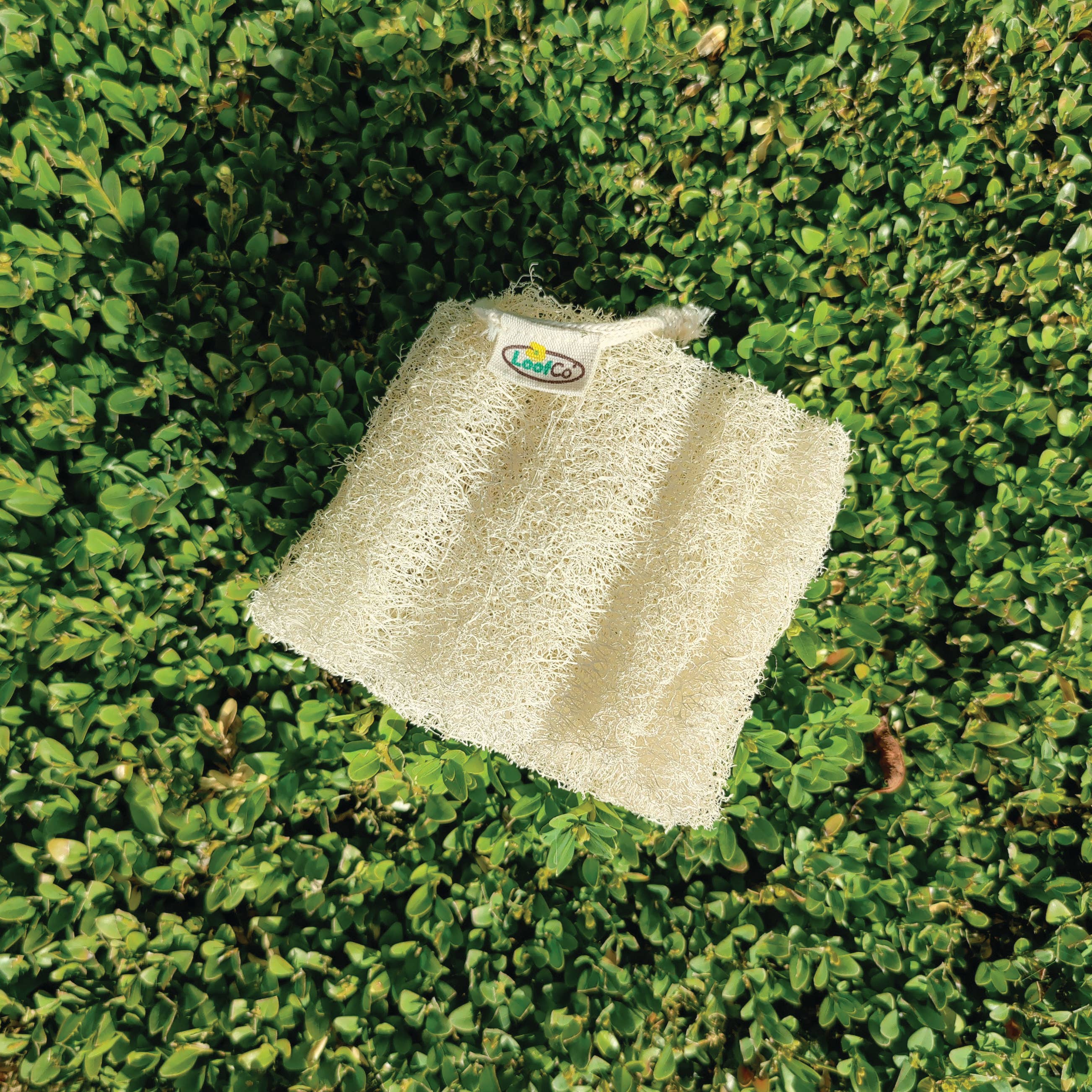 Loofah Body Sponge - Image 3