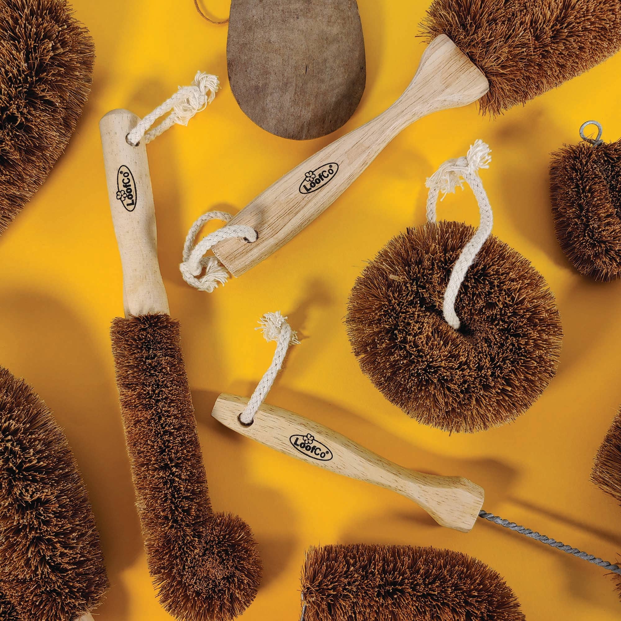 LoofCo Bottle Brush – Coconut Coir Fibre with Rubberwood Handle - Image 2